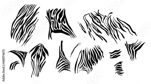 Zebra pattern black white. Monochrome texture of animal skins bands from savanna. Abstract african camouflage background for fashionable prints on t-shirts, clothes. Vector illustration