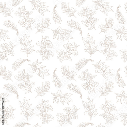 Rosemary, basil, sage, bay leaf. Seamless pattern with herbs and spices hand drawn with ink lines in doodle sketch style. Vector. Suitable for kitchen fabrics, wrapping paper, menus, etc.