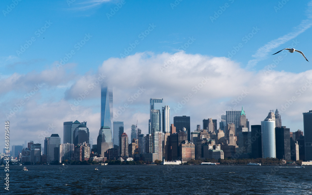 Fototapeta premium City skyline in clouds with sea gull