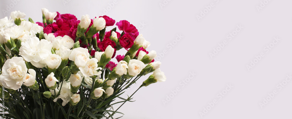 White and redl color small Carnation bud on gray. Flower bouquet horizontal; long background. White and redl color small Carnation bud on gray. Flower bouquet horizontal; long background.