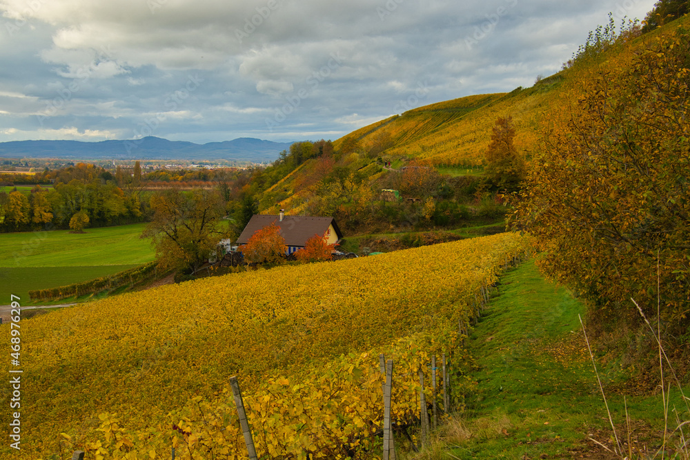 Fototapeta premium Herbst im glottertal im schwarzald