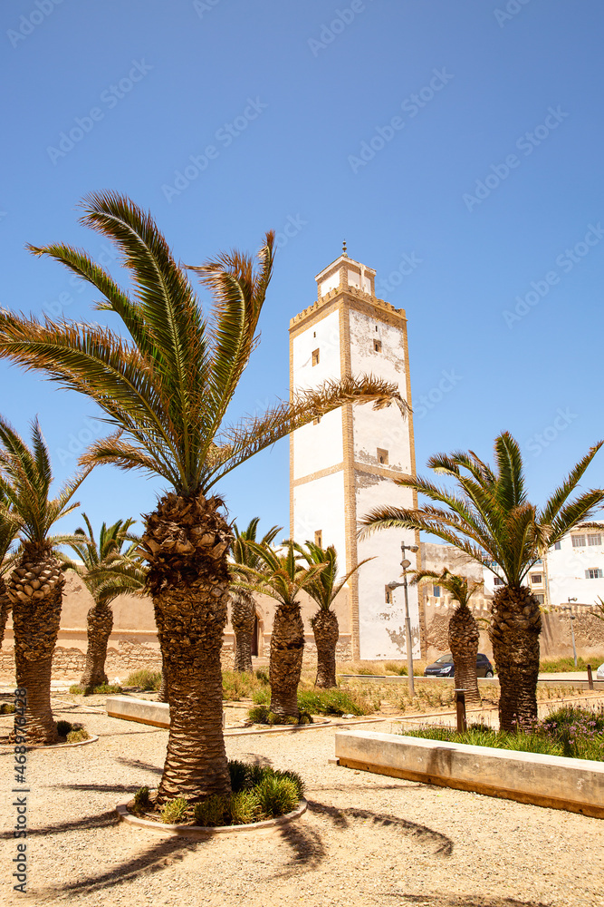 Avenue of palm trees near the entrance tower of the Medina and the old city walls in Essaouira, Morocco