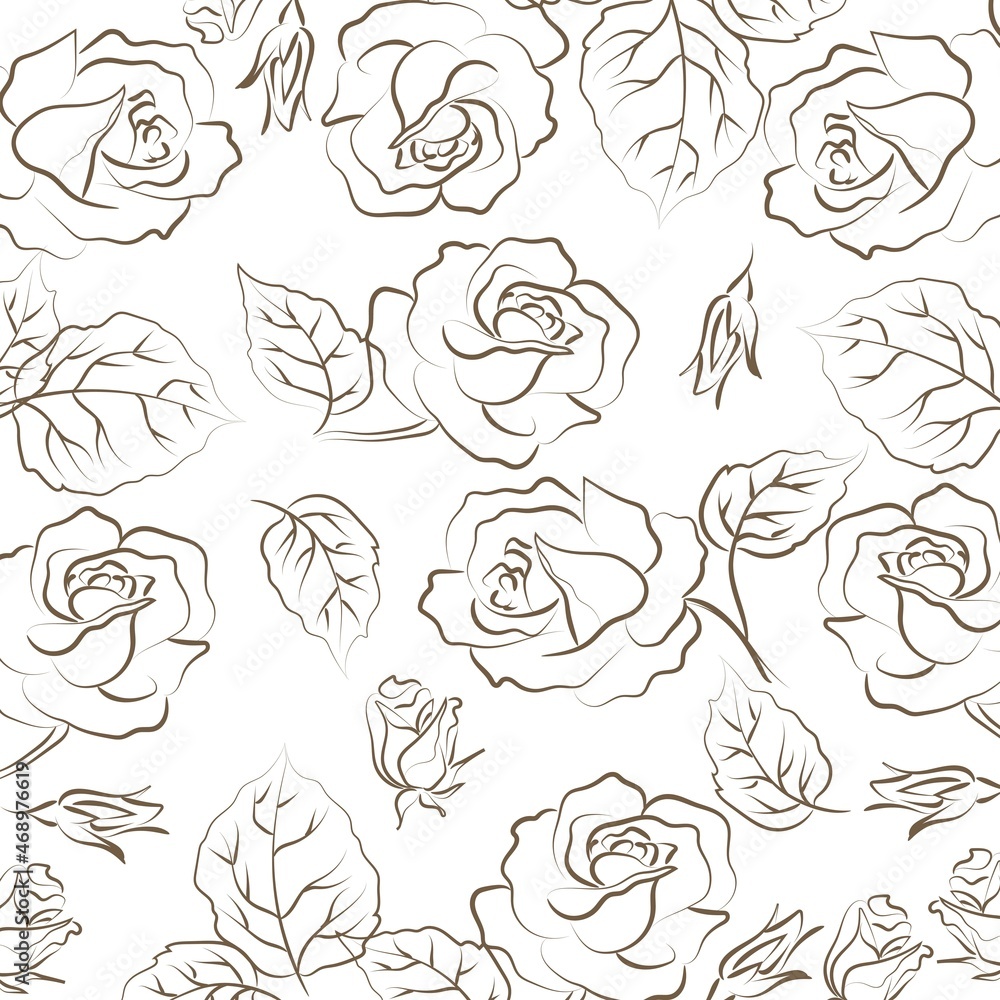 Elegant outline drawing of rose's flowers, vector illustration.