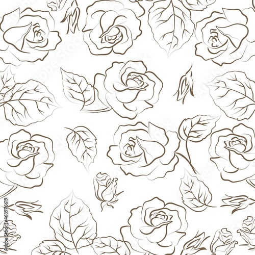Elegant outline drawing of rose's flowers, vector illustration.