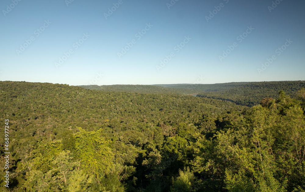 The tropical rainforest. View of the lush vegetation  and hills under a clear blue sky. 
