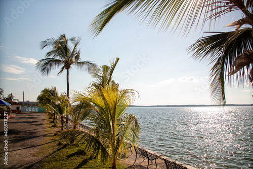 Beach with palm trees Cienfuegos  photo