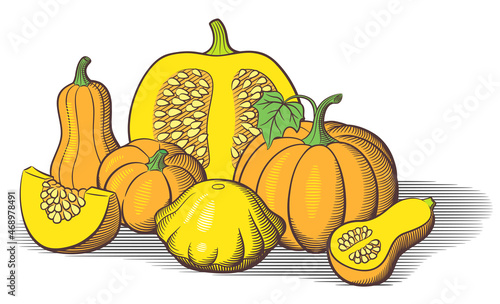 Big pile of pumpkins. Big and small pumpkins, pumpkin cut with seeds, butternut squash, pattypan squash and pumpkin slice. Retro style vector illustration