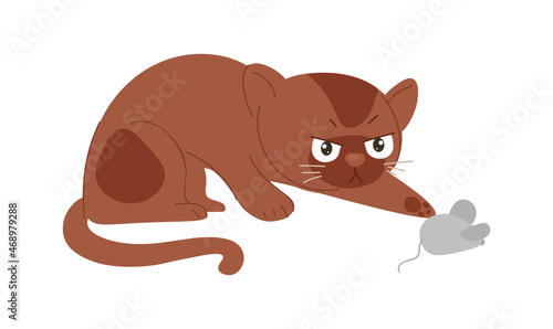 Cat with mouse. Kitten hunts for toy. Owners entertain their pet. Development of hunting instincts, curiosity, interest, nature. Chase, house, apartment, evening. Cartoon flat vector illustration