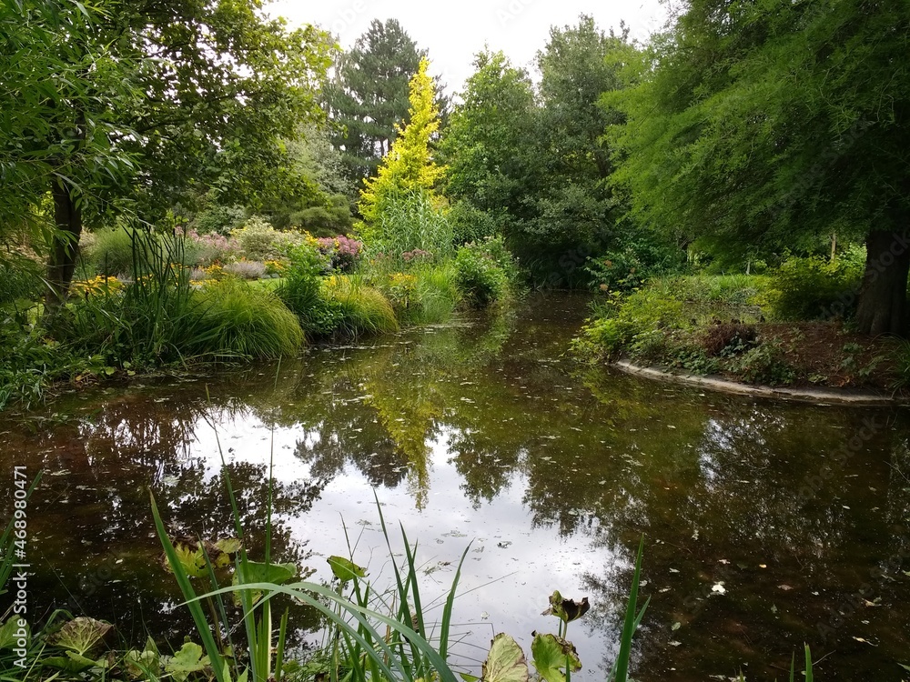 Beautiful landscape of deep still lake in forest with the trees of the woodland and green lush plants and bushes reflecting in the tranquil waters with Autumn light blue grey skies Beautiful landscape of deep still lake in forest with the trees of the woodland and green lush plants and bushes reflecting in the tranquil waters with Autumn light blue grey skies