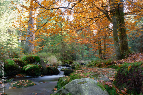 Weisser Main im Herbst, Naturpfad am Ochsenkopf, Fichtelgebirge in Oberfranken