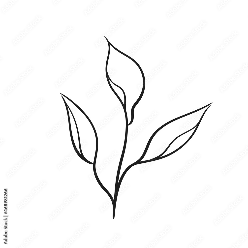 branch with leaves. hand drawn floral illustration. botanical element for greeting card and invitation design