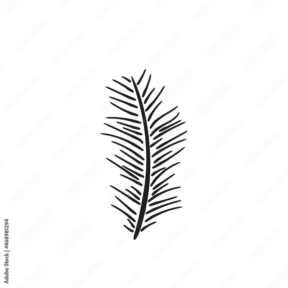 small pine branch. hand drawn floral illustration. vector element for greeting card and invitation design
