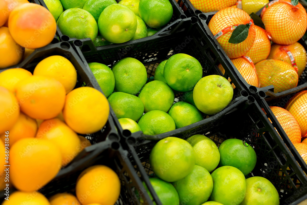 Fresh citrus are on the shelf in the store. a variety of citrus fruits. oranges, tangerines, lime, lemons. supermarket