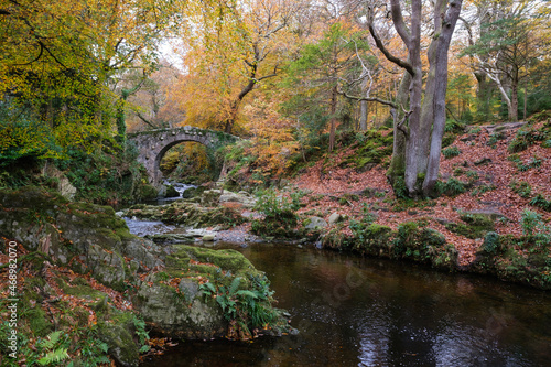 Foley Bridge, Tollymore Forest Park, Northern Ireland, UK