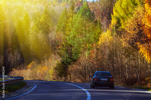 Black car on a forest road. Golden autumn. Selective focus on car.