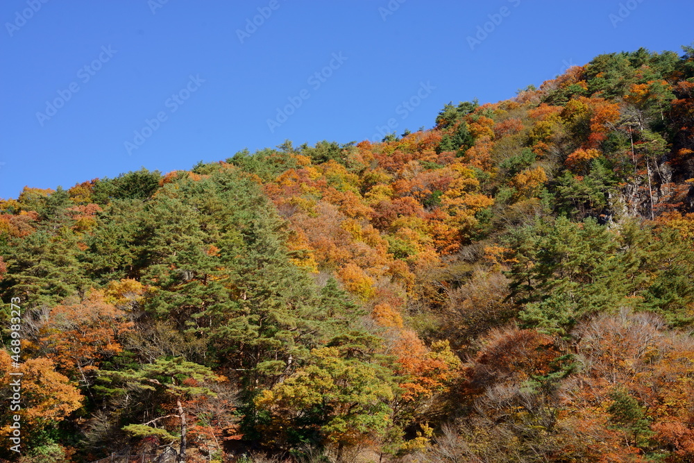 It's starting to feel more like autumn every day. It's starting to feel more like autumn every day.
