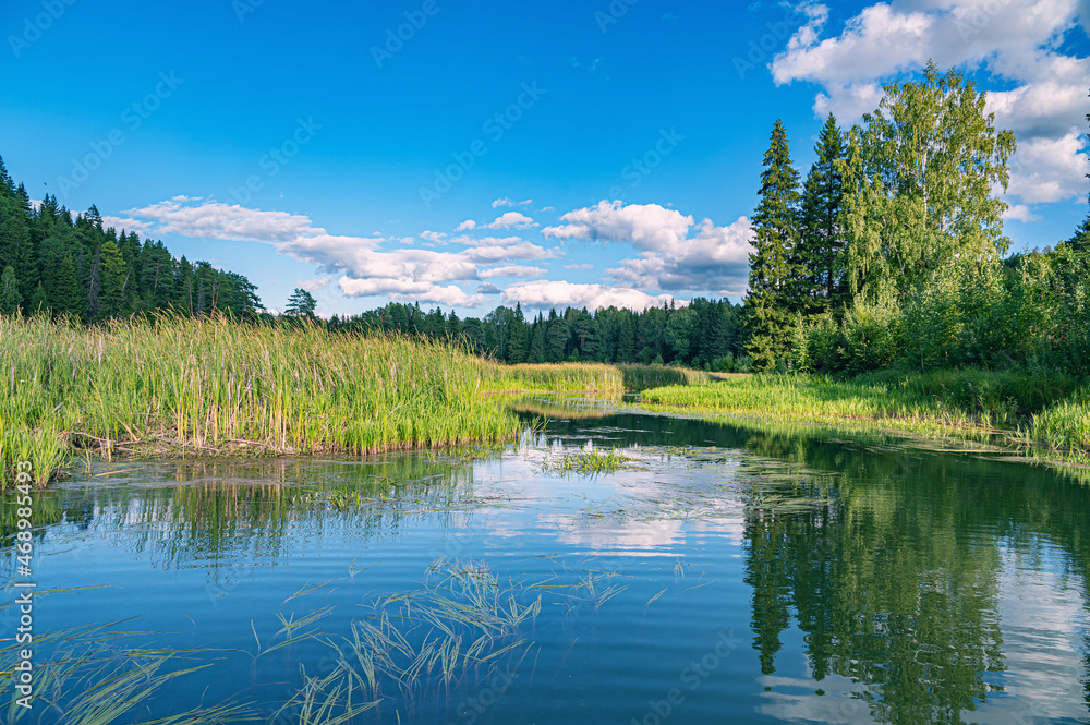 Obraz premium The blue sky and forest are reflected in the river on a summer day.