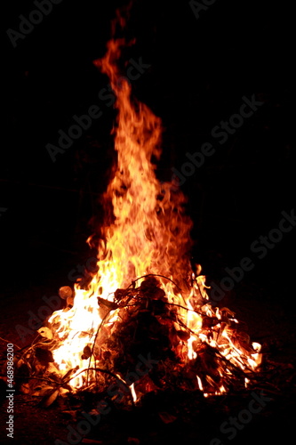 Close up of a flame of fire wood burning during night.