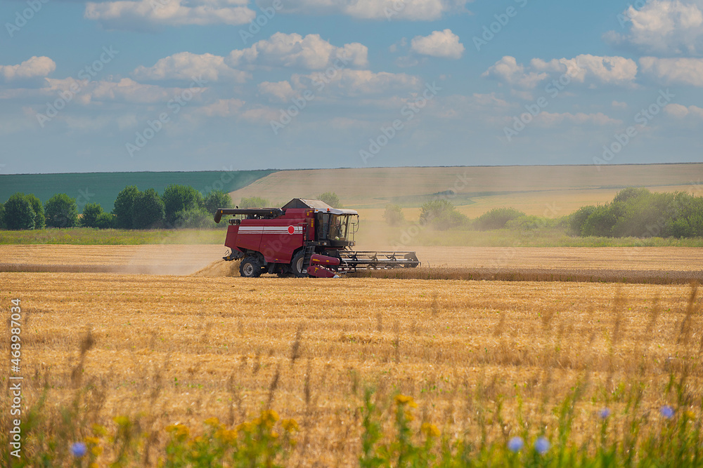 Fototapeta premium heavy agricultural machinery for harvesting