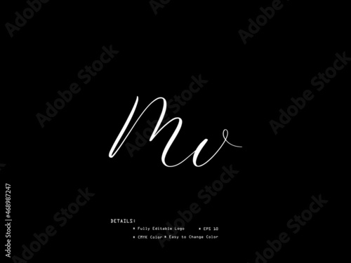 Initial Letter MV m v Signature Logo Design For Business
