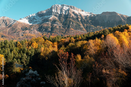 Photograph of the Betato forest during Autumn, one of the most important beech forests in the Tena Valley, in Aragon, Spain.