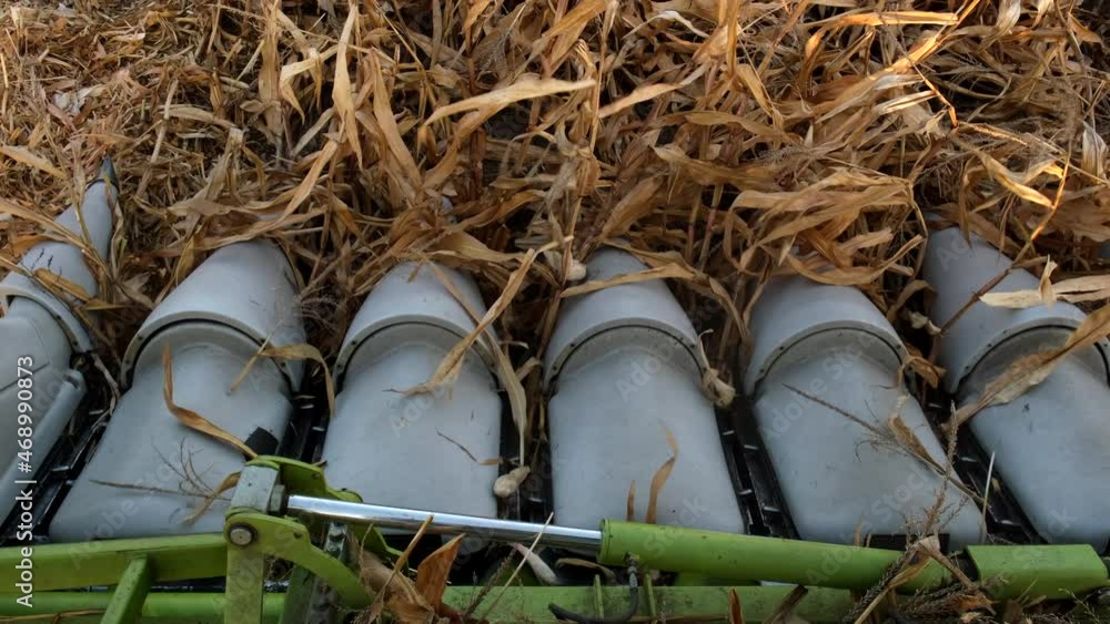 The mechanism of a combine harvester for harvesting corn. Close-up. Slow motion. The mechanism of a combine harvester for harvesting corn. Close-up. Slow motion.
