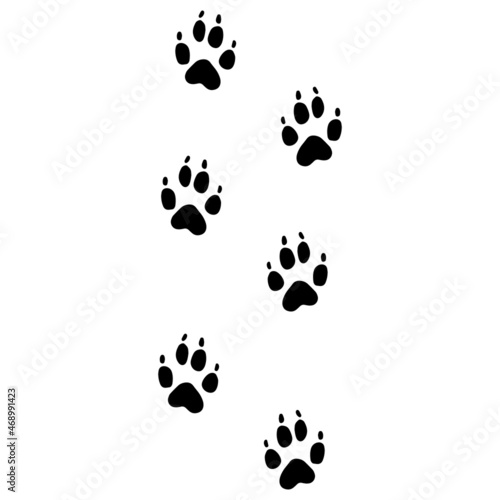 foot print of dog