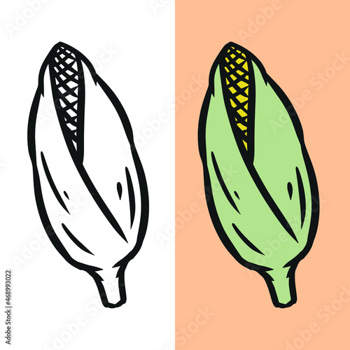 Flat corn cobs icon illustration, on a white background, editable vector file for all of your graphic needs.
