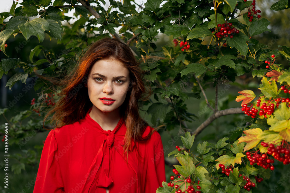 pretty woman in the summer outdoors near the bush pretty woman in the summer outdoors near the bush