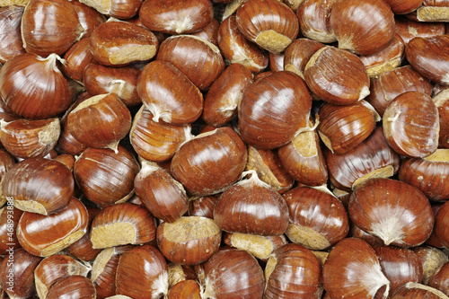 sweet chestnut fruits photo