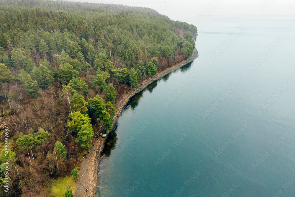 Karelia, Onega Lake, Petrozavodsk Bay. Aerial photography showing the forest and the coast, near the botanical garden. The water surface of the lake and the autumn forest. Vacation in Russia concept.