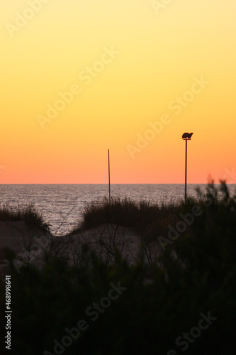 Vibrant sunset on the beach. Esmoriz, Portugal photo