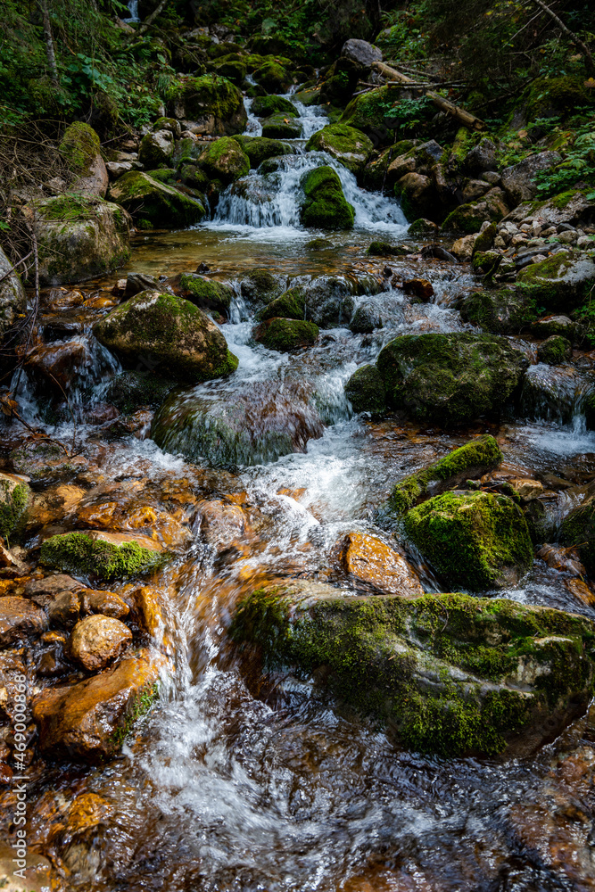 Wald, Wasserfall, Bach, Fluss, Steine, Bachlauf, Langzeitbelichtung