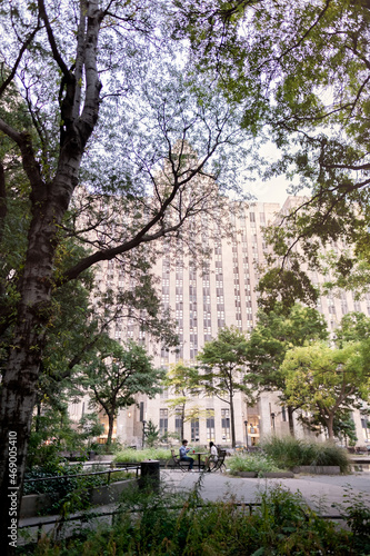 Cherry blossom in the city. Beautiful panorama of a green city park. Vertical composition.