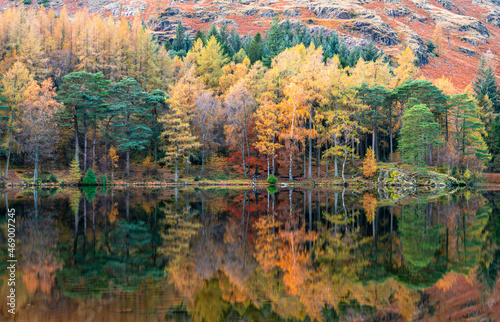 Fototapeta Naklejka Na Ścianę i Meble -  Autumn Colour Reflections in Blea Tarn in the Lake District, England