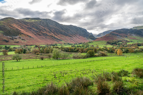Newlands Valley in the Lake District in Cumbria  England