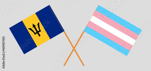 Crossed flags of Barbados and transgender pride. Official colors. Correct proportion