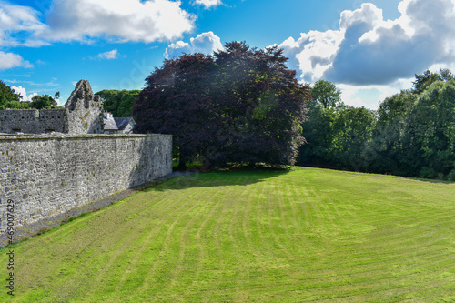Boyle Abbey lawn and wall