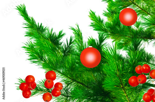 Christmas red balls and rowan berries on a background of green spruce branches close-up on a white isolated background