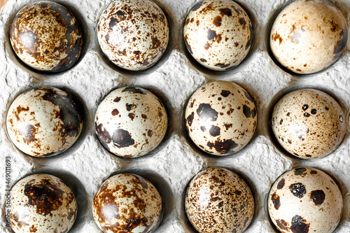 beautiful spotted quail eggs in cardboard packaging