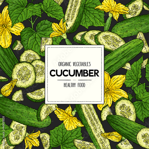 Vector hand drawn banner with organic cucumbers