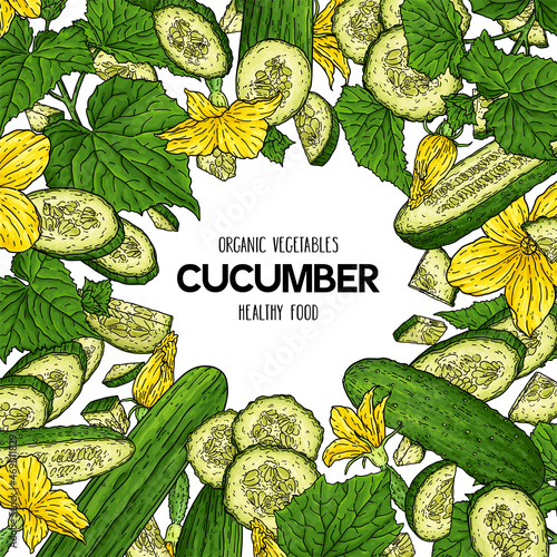 Vector hand drawn frame with organic cucumbers