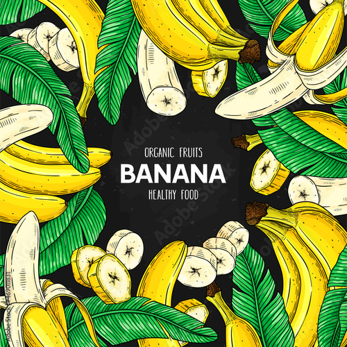 Vector hand drawn fruit frame with banana, slices pieces, bunch and leaves