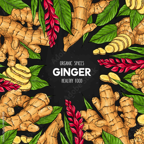 Vector hand drawn frame with ginger on dark background