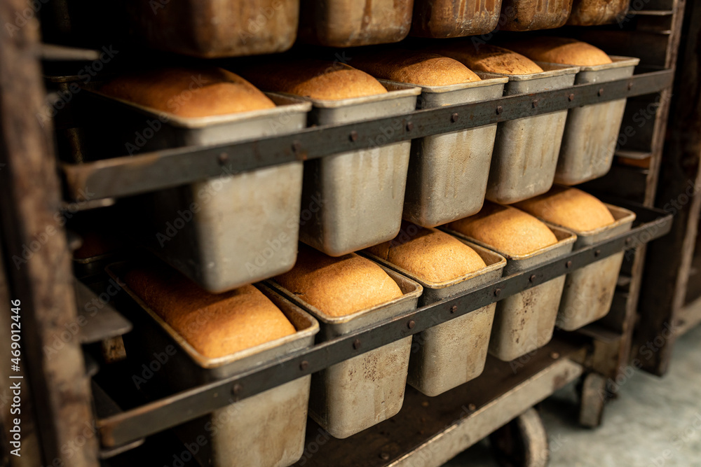 Metal racks with freshly baked loaves of fresh wheat bread. Metal racks with freshly baked loaves of fresh wheat bread.