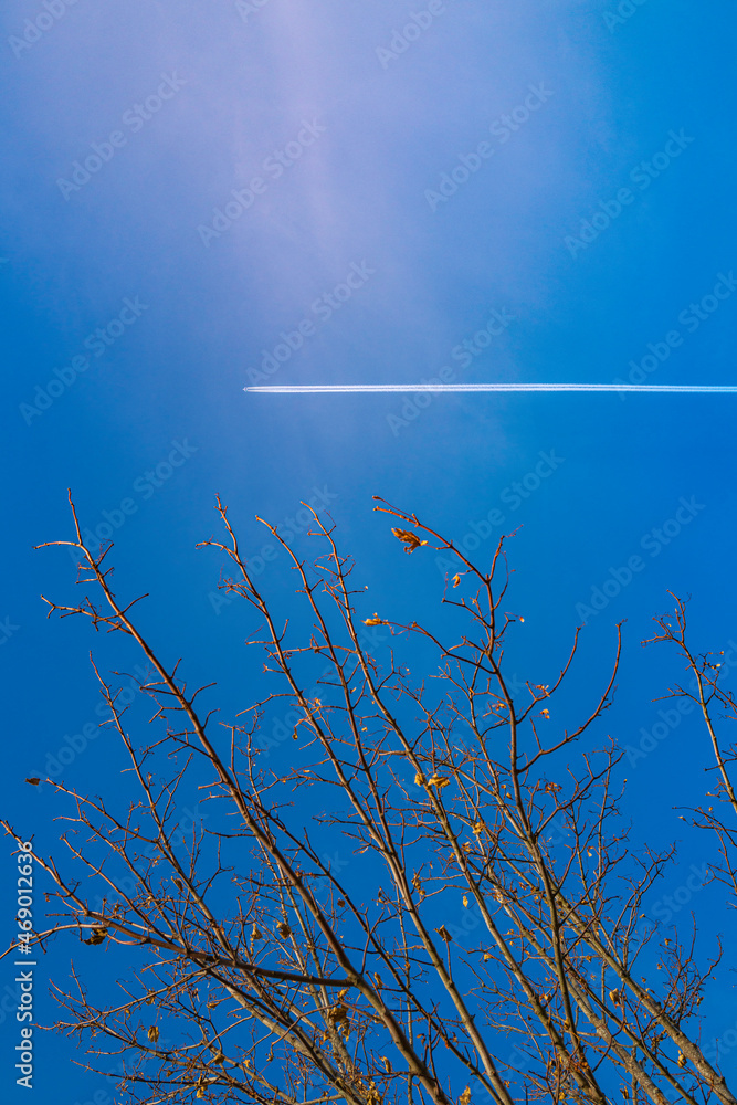 An airplane flying over the tree in the blue sky leaving a white contrail. Abstract geometry of contrail, condensation trail, or vapor trail, in the sky. An airplane flying over the tree in the blue sky leaving a white contrail. Abstract geometry of contrail, condensation trail, or vapor trail, in the sky.