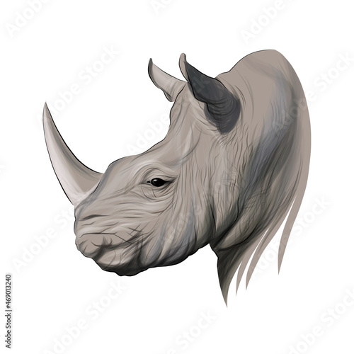 Rhino head portrait  rhinoceros  color drawing  realistic. Vector illustration of paints
