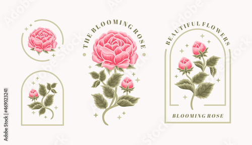 Set of vintage feminine beauty rose floral logo elements with frame