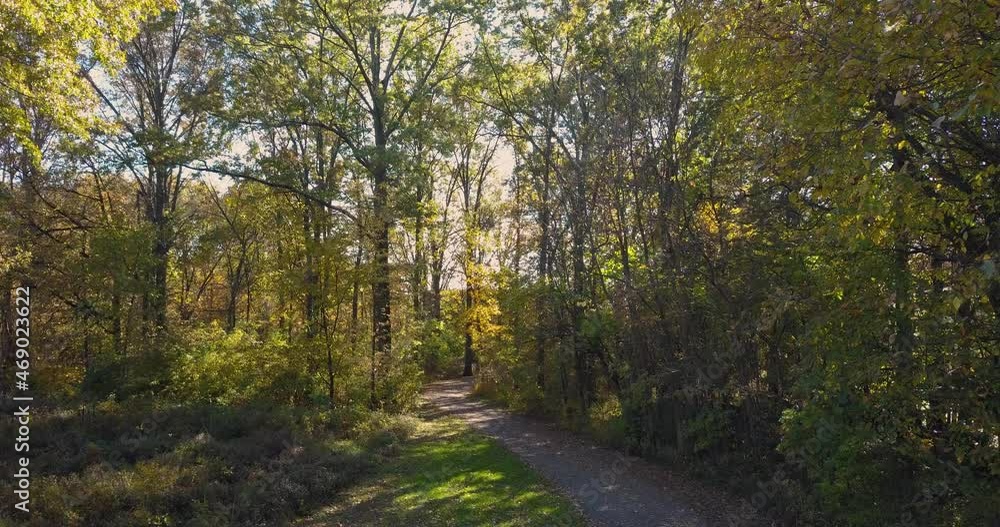Forest woods pathway in the autumn season. The beautiful trees line the walkway as the camera floats still. Shot in 4k. Forest woods pathway in the autumn season. The beautiful trees line the walkway as the camera floats still. Shot in 4k.