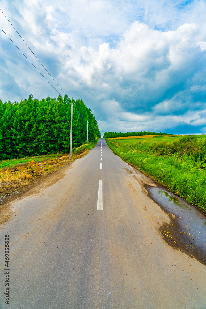 Fototapeta premium 北海道の長い道と自然